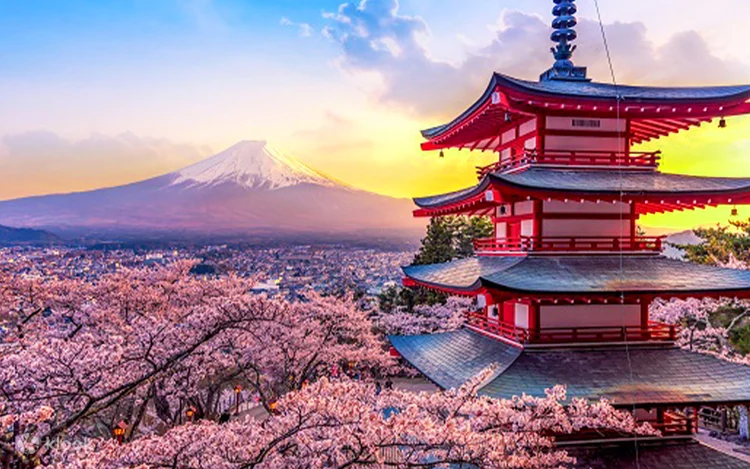 Mount Fuji One Day Tour