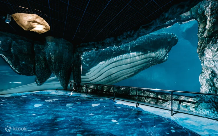 Taiwan Underwater Tunnel