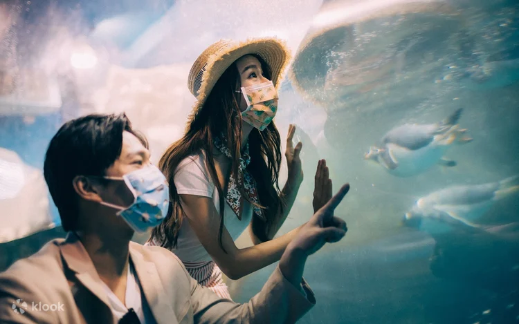 Taiwan Aquarium Marine Life