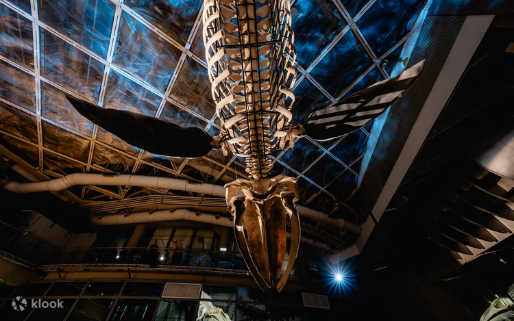 Taiwan Oceanarium Exhibit