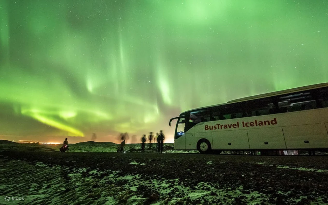 Northern Lights Bus Tour Reykjavik