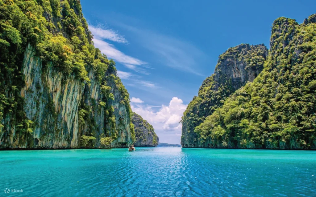Phi Phi Island, Maya Island and Bamboo Island Speedboat Day Tour