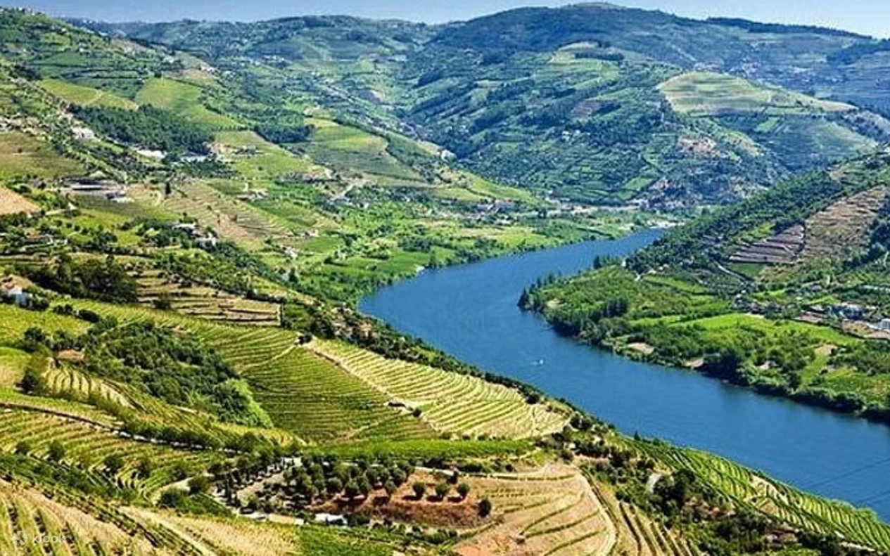 Douro Valley Wine Tour Porto