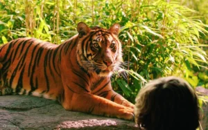 Rotterdam Zoo