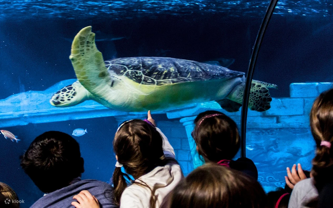 SEA LIFE Aquarium Porto