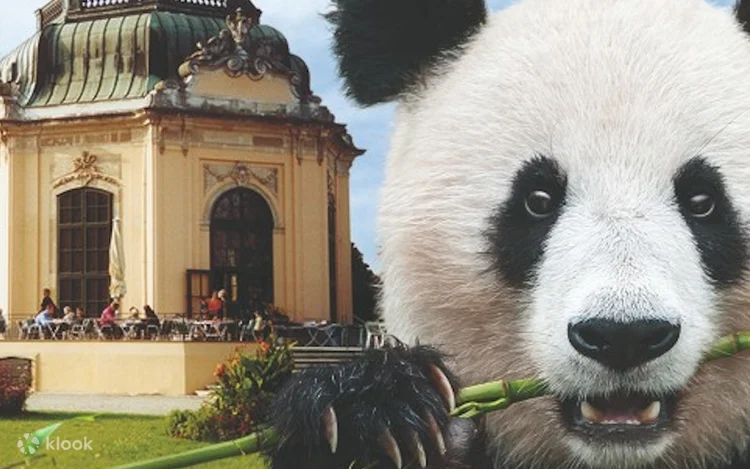Vienna Tiergarten Schoenbrunn