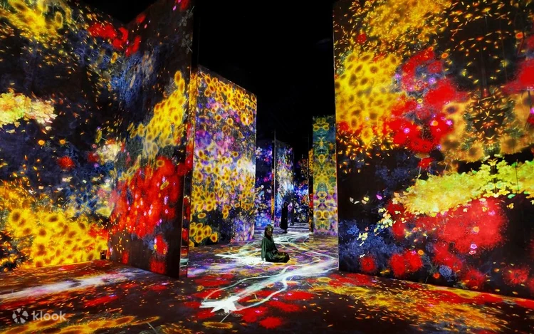 Why Visiting World-Class Museums Enriches Your Travel Experience